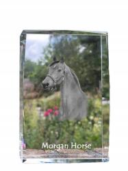 Art-Dog Morgan ló kristályos fotó, emléktárgy, trófea, köszönetnyilvánítás (5055882468115)