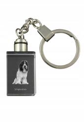 Art-Dog Schapendoes kristály kulcstartó kutya kulcstartó fényképpel megvilágított (5055882428256)