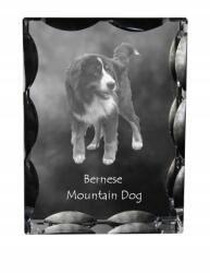 Art-Dog Berni pásztorkutya fotó kutya díszes kristályban, ajándéktárgy (5055882448056)