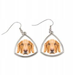 Art-Dog Golden Retriever háromszög alakú lógós fülbevaló geometrikus kutyával (5056739218495)