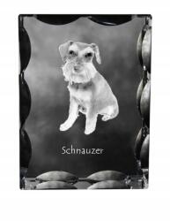 Art-Dog Schnauzer, Schnauzer kutya fotó díszkristályban, ajándéktárgy, dekoráció (5055882447899)
