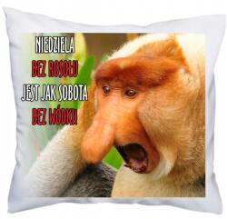 agmART Janusz Hordozó Párna ajándék fiúnapra (11)