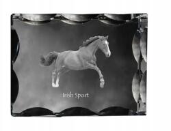 Art-Dog Ír sportló fotó díszes kristályban, ajándéktárgy, dekoráció (5055882450097)