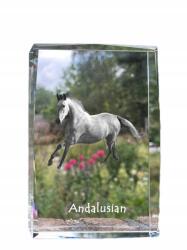 Art-Dog Andalúz ló kristályos fotó, emléktárgy, trófea, köszönetnyilvánítás (5055882467996)
