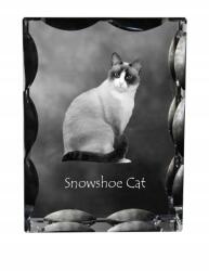 Art-Dog Snowshoe macska fotó díszes kristályban, ajándéktárgy, lakásdekoráció (5055882449855)