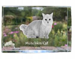 Art-Dog Munchkin macska kristályos fotó, emléktárgy, trófea, köszönetajándék (5055882467798)
