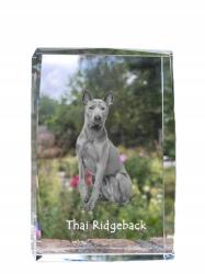 Art-Dog Thai Ridgeback kutya kép kristályban, ajándéktárgy, trófea, köszönetajándék (5055882467309)