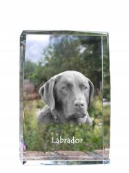 Art-Dog Labrador retriever kutya kép kristályban, ajándéktárgy, trófea köszönetnyilvánítás (5055882466265)