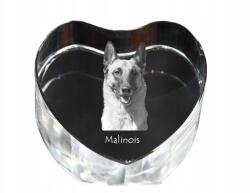 Art-Dog Malinois Belga juhászkutya kristály szív, dísz, fényképes ajándéktárgy (5055882444782)