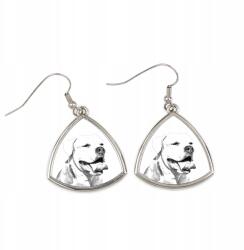 Art-Dog Amerikai bulldog háromszög alakú lógós fülbevaló kutyával, fényképpel (5055882474987)