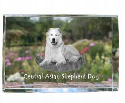 Art-Dog Közép-ázsiai juhászkutya fénykép kutya kristályban, ajándéktárgy, trófea (5055882466104)