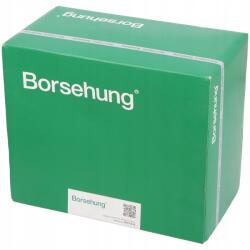 Borsehung Vezérműlánc Készlet