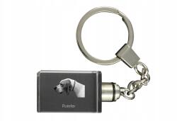 Art-Dog Pointer kristály kulcstartó kutya kulcstartó fényképpel megvilágított (5055882427303)