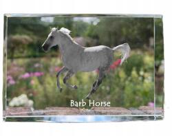 Art-Dog Berber ló kristályos fotó, emléktárgy, trófea, köszönetajándék (5055882468269)