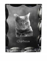 Art-Dog Chartreux macska fotó díszkristályban, ajándéktárgy, lakásdekoráció (5055882449701)