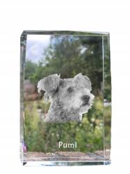Art-Dog Pumi kutya kép kristályban, ajándéktárgy, trófea, köszönetajándék, szobor (5055882467408)