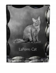 Art-Dog Laperm macska fotó díszes kristályban, ajándéktárgy, lakásdekoráció (5055882449930)