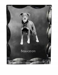 Art-Dog Beauceron francia juhászkutya kutya kép díszes kristályban, ajándéktárgy (5055882448025)