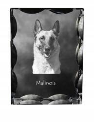 Art-Dog Malinois Belga juhászkutya kutya kép díszes kristályban, ajándéktárgy (5055882447783)