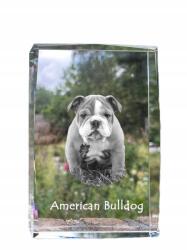 Art-Dog Amerikai bulldog fénykép kutya kristályban, emléktárgy, trófea köszönetnyilvánítás (5055882465985)