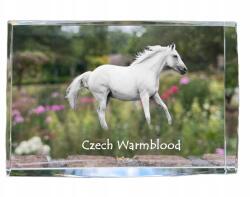 Art-Dog Cseh ló melegvérű fotó kristályban, emléktárgy, trófea (5055882468337)