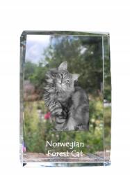 Art-Dog Norvég erdei macska kristályos fotó, emléktárgy, trófea, köszönetajándék (5055882467668)