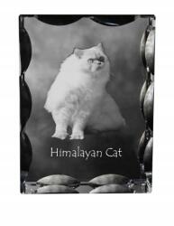 Art-Dog Himalája macska fotó díszes kristályban, ajándéktárgy, lakásdekoráció (5055882449763)