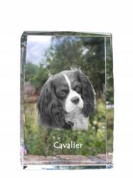 Art-Dog Cavalier King Charles spániel kutya kép kristályban, ajándéktárgy, trófea (5055882466098)