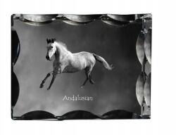 Art-Dog Andalúz ló fotó díszes kristályban, ajándéktárgy, lakásdekoráció (5055882449992)