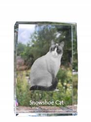 Art-Dog Snowshoe macska kristályos fotó, emléktárgy, trófea, köszönetnyilvánítás (5055882467859)