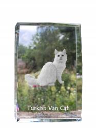 Art-Dog Török macska van kristályos fotó, emléktárgy, trófea, köszönetnyilvánítás (5055882467880)