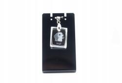 Art-Dog Beagle kristály medál szíjjal, nyaklánc fényképpel (5055882438507)