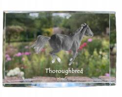 Art-Dog Angol telivér ló fénykép kristályban, emléktárgy, trófea (5055882468160)