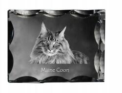 Art-Dog Maine Coon macska fotó díszes kristályban, ajándéktárgy, lakásdekoráció (5055882449473)