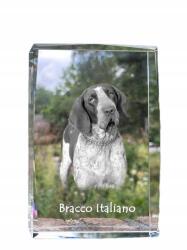 Art-Dog Olasz vizsla rövidszőrű kutya kép kristályban, emléktárgy, trófea (5055882467064)