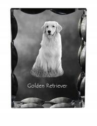Art-Dog Golden Retriever kutya kép díszes kristályban, ajándéktárgy, lakásdekoráció (5055882447721)