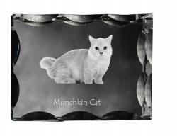 Art-Dog Munchkin macska fotó díszes kristályban, ajándéktárgy, lakásdekoráció (5055882449794)