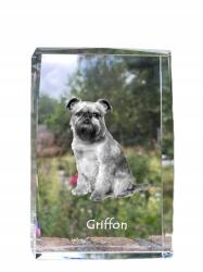 Art-Dog Brüsszeli griffendéles fotó kutya kristály, emlék trófea köszönetnyilvánítás (5055882465756)