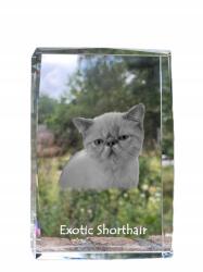 Art-Dog Macska Egzotikus rövidszőrű fotó kristályban, ajándéktárgy, trófea (5055882467484)