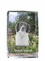 Art-Dog Francia spániel kutya kép kristályban, ajándéktárgy, trófea, köszönetajándék (5055882467149)
