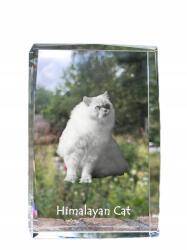 Art-Dog Himalája macska kristályos fotó, emléktárgy, trófea, köszönetajándék (5055882467767)