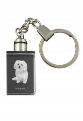 Art-Dog Bolognai kristály kulcstartó kutya kulcstartó világító fényképpel (5055882428041)