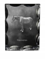 Art-Dog Hannoveri ló fotó díszes kristályban, ajándéktárgy, lakásdekoráció (5055882450172)