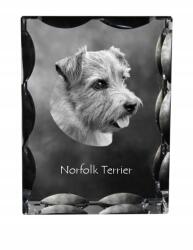 Art-Dog Norfolk terrier kutya fotó díszes kristályban, ajándéktárgy, lakásdekoráció (5055882448285)