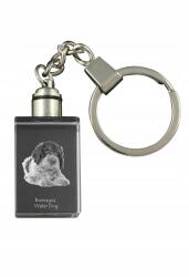 Art-Dog Román vízi kutya kristály kulcstartó kutya kulcstartó fényképpel (5055882427884)