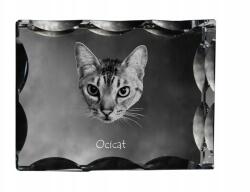 Art-Dog Ocicat macska fotó díszes kristályban, ajándéktárgy, lakásdekoráció (5055882449633)