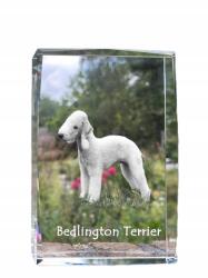 Art-Dog Bedlington terrier kutya kép kristályban, ajándéktárgy, trófea köszönetnyilvánítás (5055882466036)