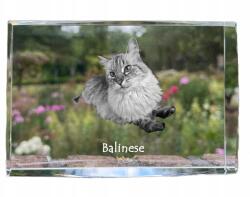 Art-Dog Balinéz macska kristályos fotó, emléktárgy, trófea, köszönetnyilvánítás (5055882467590)