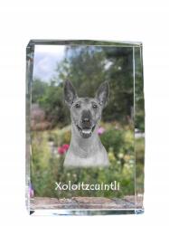 Art-Dog Meztelen mexikói kutya kép kristályban, ajándéktárgy, trófea, szobor (5055882466517)