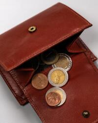 Peterson női bőr pénztárca barna színben, közepes méret (3706022261302)